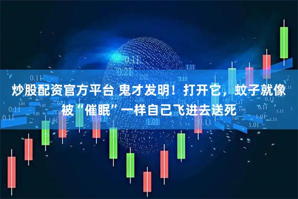 炒股配资官方平台 鬼才发明！打开它，蚊子就像被“催眠”一样自己飞进去送死